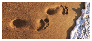 DNSEMP-L-127-Beach Footprints
